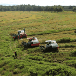 March 2023 Harvest: Goldmine Farm to Market Franchise continues to be an endless Goldmine for the Local Farmers