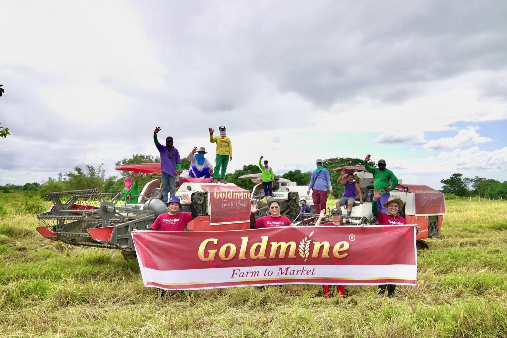 Goldmine Farm to Market: Empowering Local Farmers, One Grain at a Time
