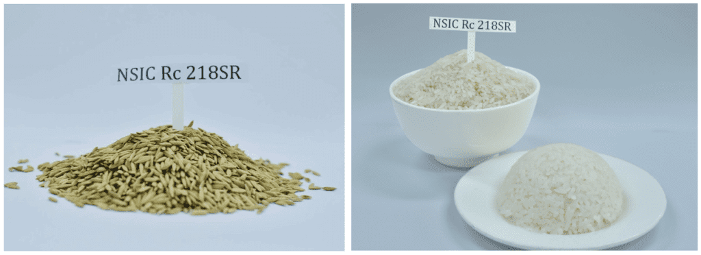 Philippine Rice Recognized as World Class by Global Industry Leaders
